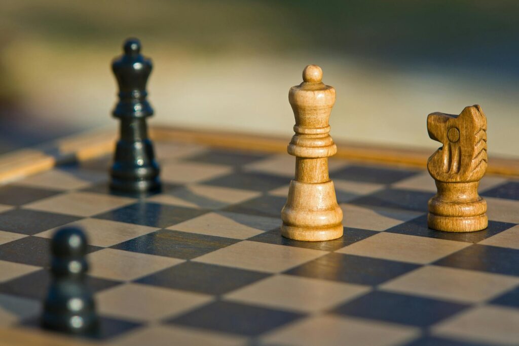 brown and black wooden chess piece