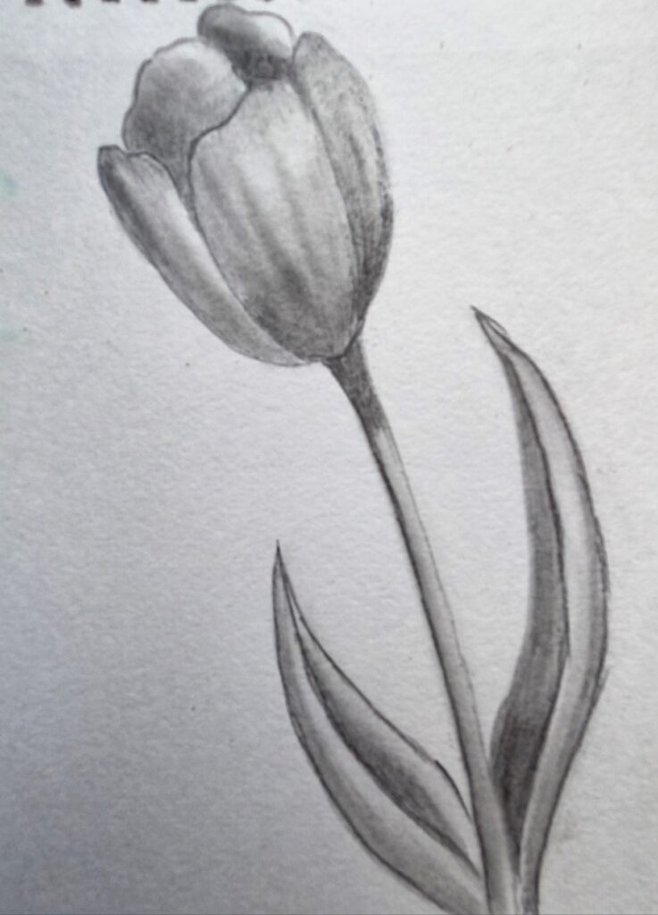 Keep a dedicated sketchbook and date every page. 
