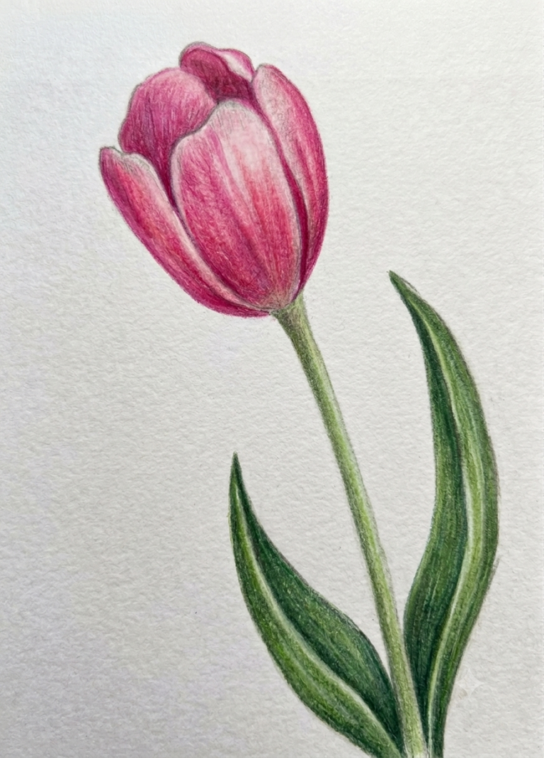Easiest Sketching Ever!