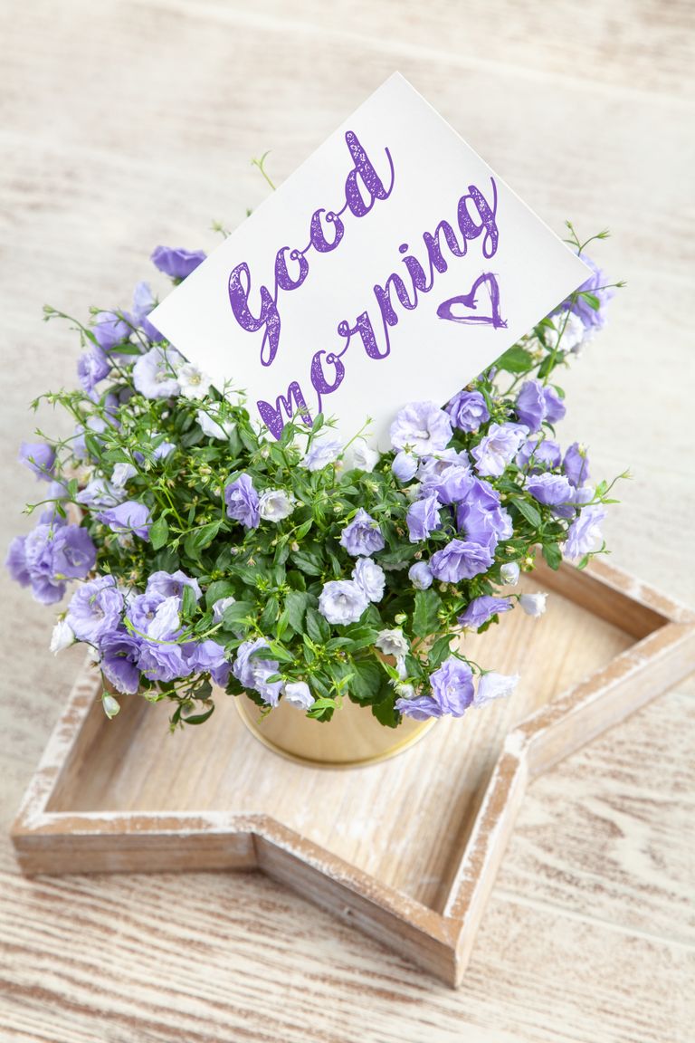 A bouquet of purple flowers with a card saying 'Good Morning' in a heart-shaped tray.